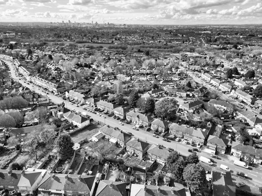 A black-and-white aerial photograph showing a densely packed residential street with rows of terraced houses on either side of a central road. The houses have pitched roofs, chimneys, and small front gardens or yards, with some featuring driveways or parking spaces. The central street is lined with parked cars along both curbs, and the road appears to be narrow, typical of urban housing areas in Leyton. Trees with bare branches are visible between the houses, indicating a possible winter season. The area around the houses includes narrow alleys, fences, and small garden spaces. This image captures the compact layout of the neighbourhood, relevant to house removals and moving logistics handled by Man With a Van Leyton, especially when planning home relocation or furniture transport within Waltham Forest.